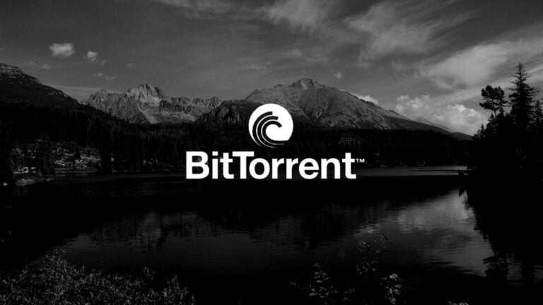 پروتکل به اشتراک گذاری داده و رمز ارز بیت تورنت جزو ارزهای دسته خدمات آنلاین است که با عمر نه چندان زیاد، محبوبیت بالایی کسب کرده است. این ارز متعلق به بنیاد ترون به مالکیت جاستین سان است.